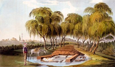 Spring at the Source of the Skamander River by William Gell